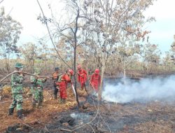 Water Bombing 119 Kali! Begini Gagahnya Tim Gabungan Jinakkan Karhutla Sumsel