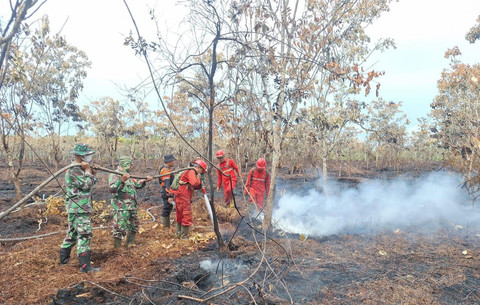 Water Bombing 119 Kali! Begini Gagahnya Tim Gabungan Jinakkan Karhutla Sumsel