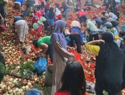 Waspada! Ribuan Bawang Bombai Misterius di Batam, Dinkes Ungkap 4 Bahaya Mengerikan Ini