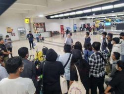 Waspada! Bekerja di Kamboja Ternyata ILEGAL, Begini Penjelasan dan Dampaknya bagi PMI