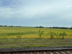 Membaca Indonesia dari Jendela Kereta: Potret Nyata yang Tak Terungkap dalam Data