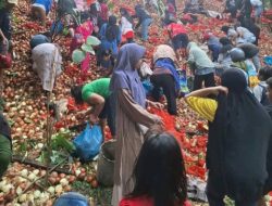 Waspada! Bawang Bombai Ilegal Berbahaya Ditemukan di Batam, Warga Malah Berebut