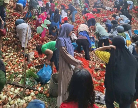 Waspada! Bawang Bombai Ilegal Berbahaya Ditemukan di Batam, Warga Malah Berebut