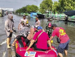 Banjir Semarang Lumpuhkan 24 Kelurahan, 63.400 Jiwa Terdampak: Ini Daftar Lengkap Lokasinya!