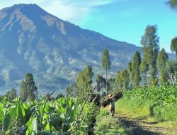 Misteri Situs Liyangan: Kota Mataram Kuno yang Lenyap Ditelan Abu, Tapi Tanpa Satu Jenazah Pun