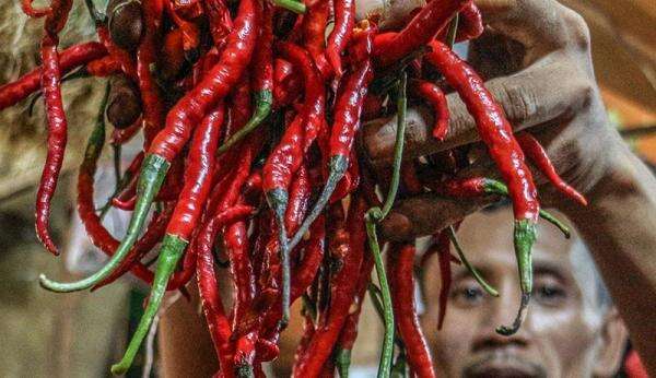 Gawat! Cabai Keriting Tembus Rp 83 Ribu, Ini Daftar Harga Pangan yang Naik dan Turun Hari Ini