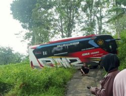 Bus Ziarah Tersesat di Hutan Pati Gegara Google Maps, Begini Kronologi Mencekamnya