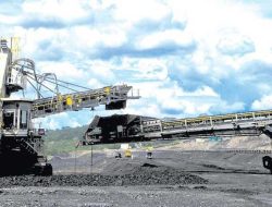 HRUM Bukan Cuma Batu Bara! Ini Alasan Sahamnya Jadi Primadona Baru di 2024