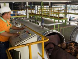 Ledakan 72,3%! STAA (Sumber Tani Agung Resources) Raup Rp2,97 Triliun, Apa Kunci Suksesnya?