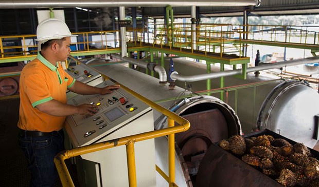 Ledakan 72,3%! STAA (Sumber Tani Agung Resources) Raup Rp2,97 Triliun, Apa Kunci Suksesnya?