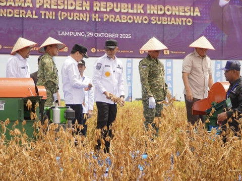 Rahasia Sukses Lampung Utara Panen Kedelai 1,2 Ton/Ha, Lampu Hijau untuk Stop Impor!