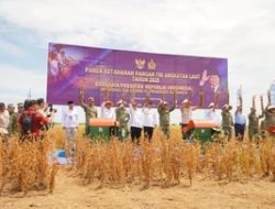 Lampung Guncang Pasar Beras Nasional! Proyeksi 800 Ribu Ton Surplus & Rahasia Kolaborasi TNI yang Bikin Petani Makmur