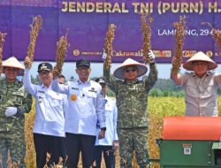 Lampu Utara Panen 4 Ton/Hektar! Begini Strategi TNI Hentikan Impor Kedelai