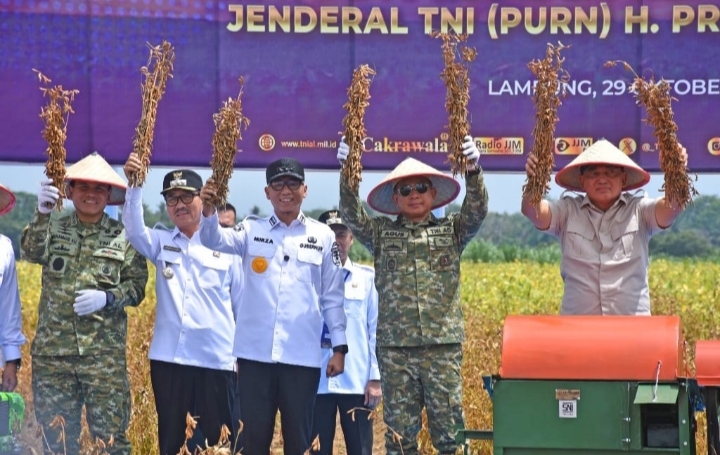 Lampu Utara Panen 4 Ton/Hektar! Begini Strategi TNI Hentikan Impor Kedelai