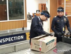 Geger! Bea Cukai Bali Sita 2,4 Juta Rokok Ilegal & Ribuan Liter Miras dalam Satu Bulan