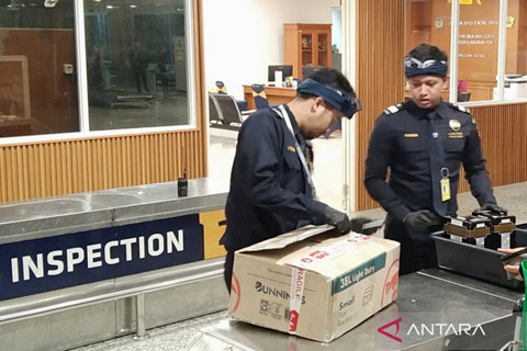 Geger! Bea Cukai Bali Sita 2,4 Juta Rokok Ilegal & Ribuan Liter Miras dalam Satu Bulan