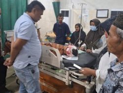 Waspada! Petani Karet di Muaro Jambi Diserang Beruang Saat Menyadap, Kepala Hancur