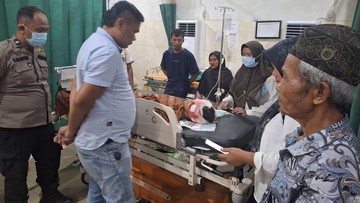 Waspada! Petani Karet di Muaro Jambi Diserang Beruang Saat Menyadap, Kepala Hancur