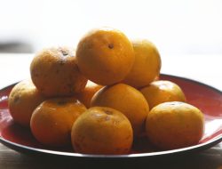 7 Manfaat Jeruk yang Mengejutkan: No. 5 Bikin Ginjal Lebih Sehat!