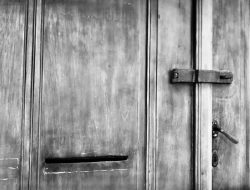 Komisaris BUMN Mengkritik Pemerintah: Etis atau Konflik Kepentingan Mematikan?