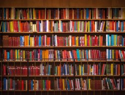 Perpustakaan Sekolah: Benteng Terakhir Lindungi Anak dari Bahaya Digital