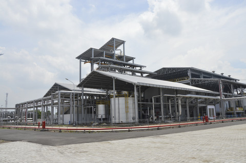 E10 2027: Pemerintah Siapkan 240 Ribu Hektar Lahan untuk Gantikan Bensin?