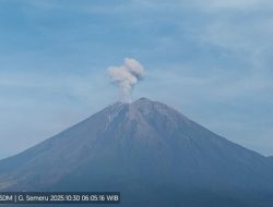 Gunung Semeru Muntahkan Awan Panas 800 Meter! Ini Zona Bahaya yang Wajib Dihindari