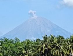Gunung Semeru Erupsi 4 Kali Pagi Ini, Ini Status Terkini dan Zona Bahaya yang Wajib Dihindari!