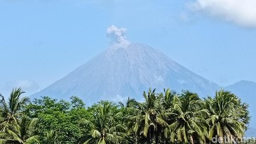 Gunung Semeru Erupsi 4 Kali Pagi Ini, Ini Status Terkini dan Zona Bahaya yang Wajib Dihindari!