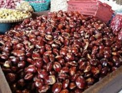 9 Manfaat Jengkol Goreng yang Mengejutkan: Nomor 5 Bikin Ketagihan!