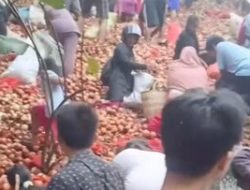 Viral Bawang Bombai di Batam Dibuong PT BSS, Ternyata Ini Fakta di Baliknya!
