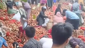 Viral Bawang Bombai di Batam Dibuong PT BSS, Ternyata Ini Fakta di Baliknya!