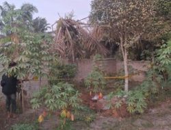 Misteri Pria Telanjang Terkubur di Kebun Siak: Tangan Menyembul dari Gundukan Tanah dan Tubuh Penuh Luka!