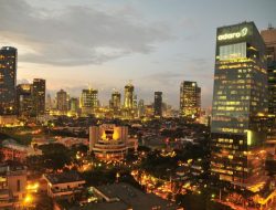 Saham Boy Thohir (AADI, ADMR, ADRO) Meledak: Target Harga Baru dan Proyeksi Dividen 16% yang Bikin Investor Tergoda