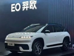 Hyundai EO Resmi Meluncur! SUV Listrik 722 Km Ini Harganya Bikin Tepuk Jidat.