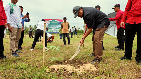 Rachmat Gobel Gagas 1 Juta Bambu di Gorontalo: Solusi Iklim yang Cetak Rupiah?