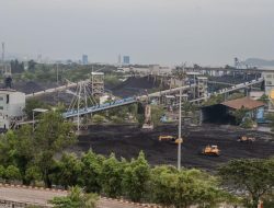 Laba PTBA Anjlok 59%, Tembus Rp1,4 Triliun di Tengah Harga Batu Bara yang Terpuruk