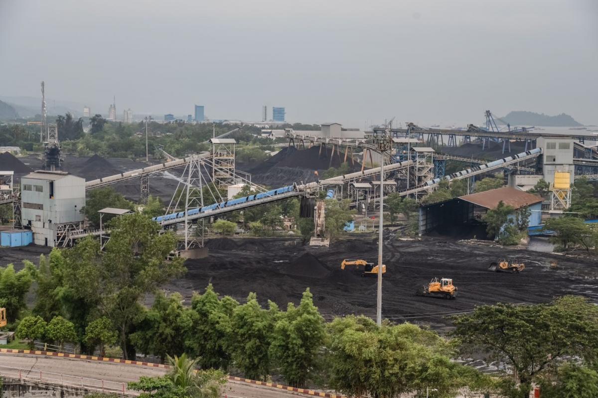 Laba PTBA Anjlok 59%, Tembus Rp1,4 Triliun di Tengah Harga Batu Bara yang Terpuruk