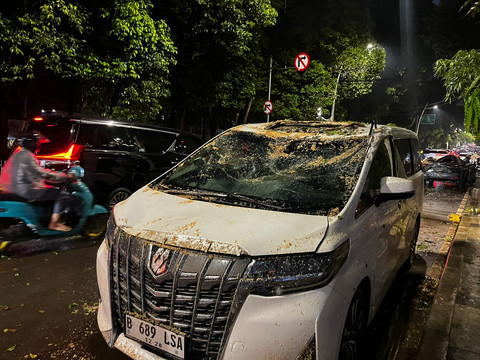 Pohon Tumbang di Kebayoran Baru Gegerkan Warga, 5 Mobil Hancur! Ini yang Terjadi