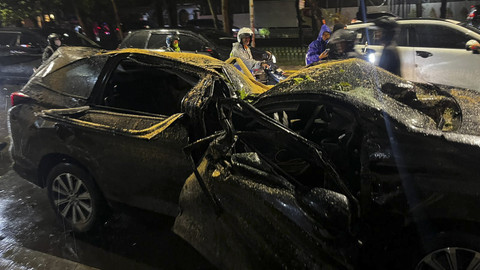 Tragis! Pohon Tumbang di Dharmawangsa Tewaskan Satu Nyawa, 5 Mobil Hancur