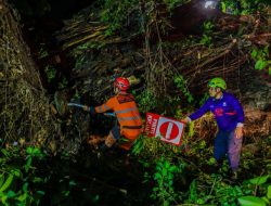 Pohon Tumbang Tutup Jalan Nasional Cianjur, Arus Lalu Lintas Tersendat Total!