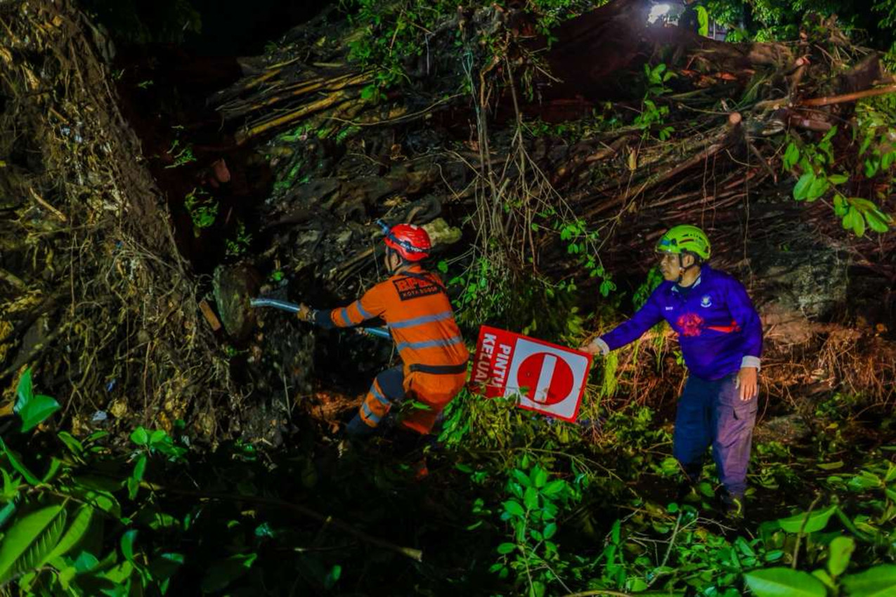 Pohon Tumbang Tutup Jalan Nasional Cianjur, Arus Lalu Lintas Tersendat Total!