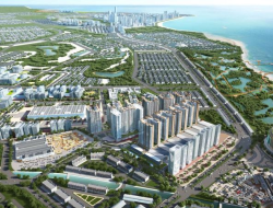 CBDK Pangkas Target Marketing Sales 2025 Jadi Rp508 Miliar, Ini Penyebab dan Dampaknya