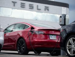 Tesla Cybercab Debut di CIIE 2024 Shanghai, Robotaxi Siap Ramaikan Pasar China