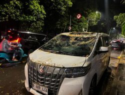 Pohon Tumbang di Dharmawangsa Tewaskan Satu Pengendara, Lalu Lintas Macet Total