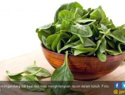 7 Makanan untuk Mengatasi Rambut Rontok Secara Alami dan Cepat
