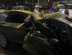 Pohon Tumbang di Dharmawangsa Tewaskan Pengemudi, Ini Penjelasan dan Komitmen Pemprov DKI