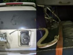 Modifikasi Mobil Ford Everest Angkut 1000 Liter Solar Subsidi, Polisi Tangkap DC di Jonggol