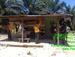 Anak 8 Tahun Terluka Berat Diserang Gajah Liar di Pekanbaru, Kronologi & Imbauan BBKSDA