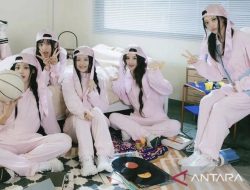 NewJeans Kalah Gugatan: Alasan Anggota Ajukan Banding & Kronologi Lengkap